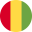 Gvineja