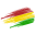 Team Bolivia