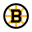 Boston Bruinsi