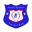 Timisul Sag