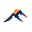 Carstensz Esports