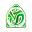 Sohar