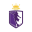 Politehnika Timišoara (Ž