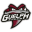 Guelph Storm (ml