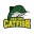 Can Tho Catfish