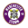 Mančester Storm