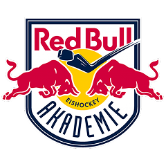 Red Bul Hokej Juniors