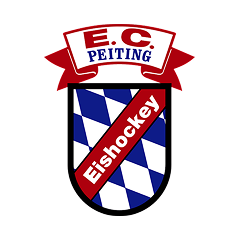 Pajting
