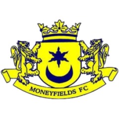 Moneyfields (Ž