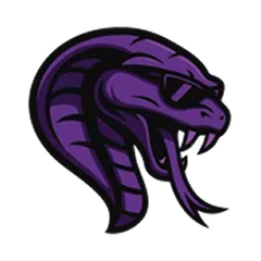 Team Cobra