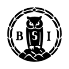 BSI