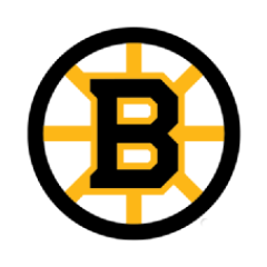 Boston Bruinsi