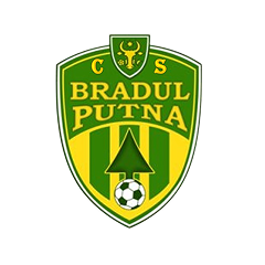 Bradul Putna