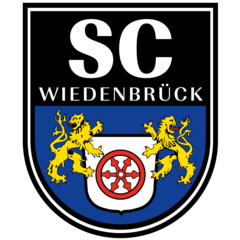 Videnbrik