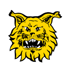 Ilves