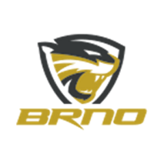 Brno (Ž