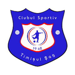 Timisul Sag