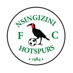 Nsingizini Hotspurs