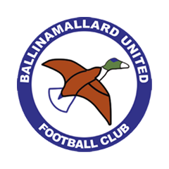 Ballinamallard Junajted