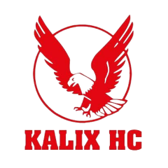 Kaliks