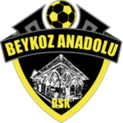 Tuzlaspor