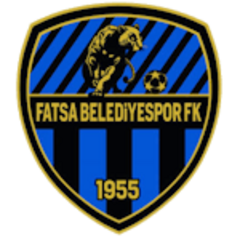 Fatsa Beledijespor