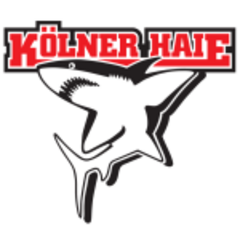 Kelner Haje