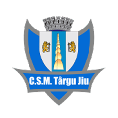 Tirgu Žiju