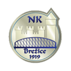 Brezicu 1919