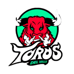 Toros Del Valje