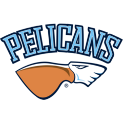 Pelikansi