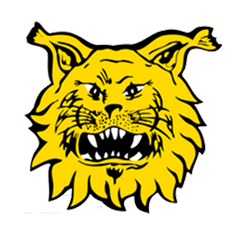 Ilves