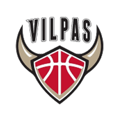 Salon Vilpas Vikings