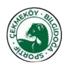 Cekmekoj Bilgidoga (Ž